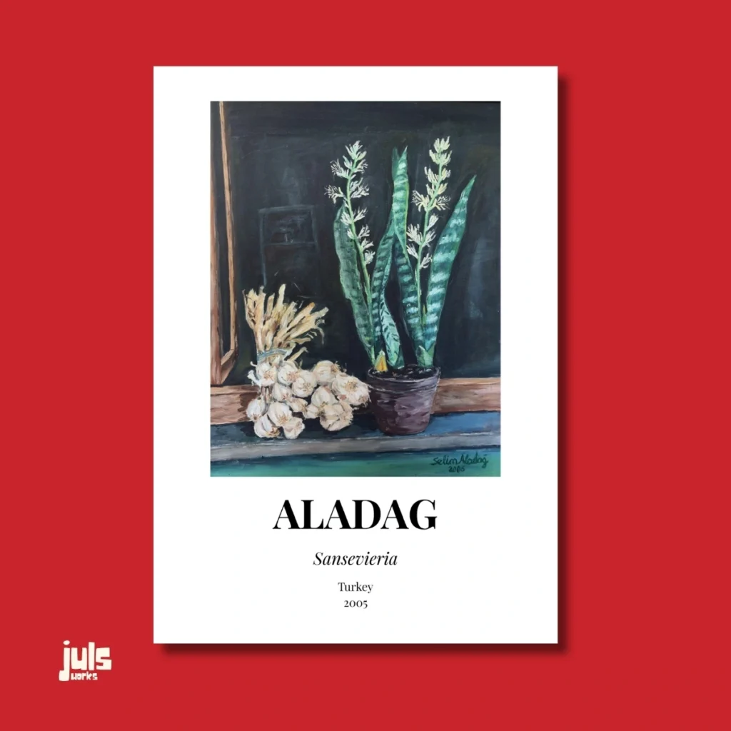 Sansevieria poster - Selim Aladağ müze koleksiyonu duvar sanatı